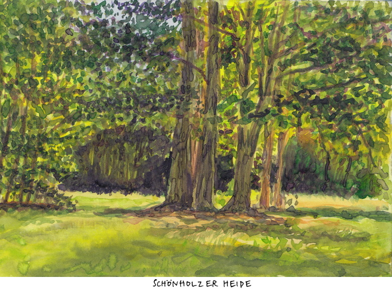 schnholzer heide
