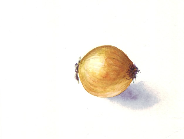 zwiebel