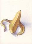 banane