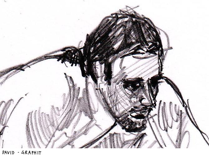 david