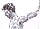david